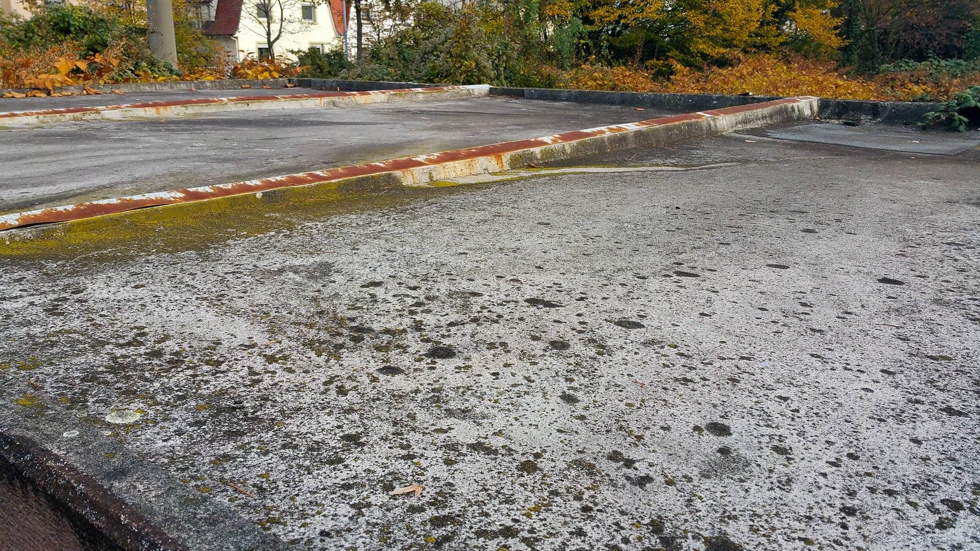 Garagendachsanierung, Garagendachbeschichtung & Garagen Dachreinigung